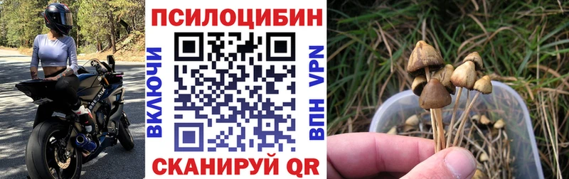 Галлюциногенные грибы GOLDEN TEACHER  что такое наркотик  Дербент 