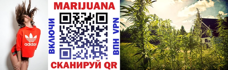 mega ТОР  купить   Дербент  Канабис тримм 